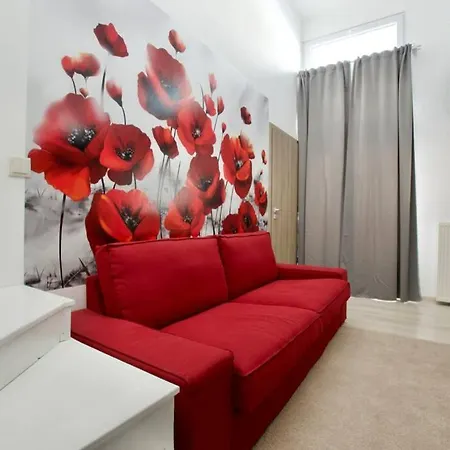 Standard By Hi5- Rose Street's *